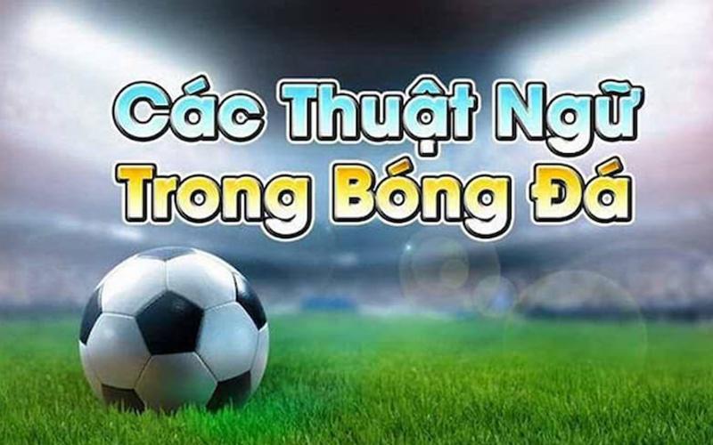 Tổng hợp các thuật ngữ trong cá độ bóng đá 11BET mà bạn cần biết 